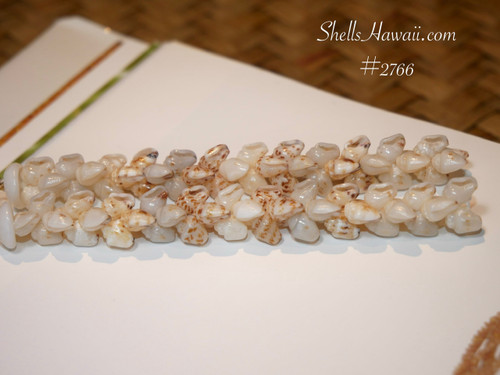 long pikake niihau shell earrings with momi shells, white blue uliuli yellow lenalena brown spotted onikiniki