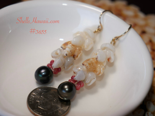 Ni'ihau Shell Earrings – Handcrafted Hawaiian Earrings with