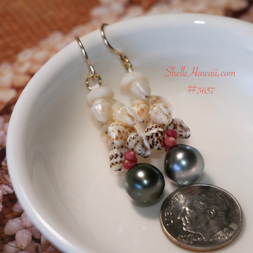 Pikake-Style Niʻihau Shell Earrings | ShellsHawaii.com