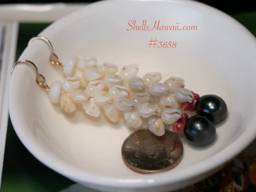 Close-up of handcrafted Pikake Hawaiian shell earrings featuring an ombre arrangement of genuine Niʻihau light blue ʻŪliʻuli and white Keʻokeʻo Momi shells, rare red Kahelelani shells, and peacock Tahitian pearls hanging on a display rod.