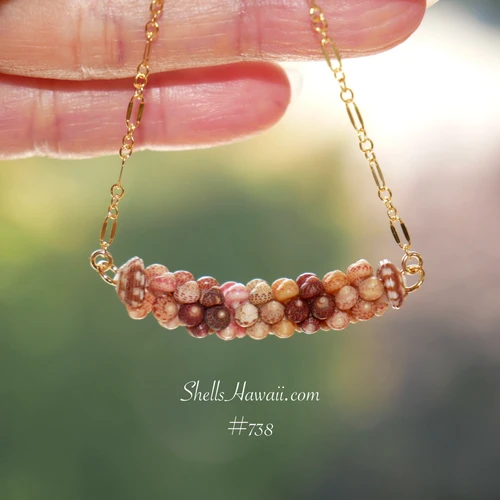 pd_738
Handcrafted Kauaʻi Kahelelani shell pendant necklace featuring genuine large Kahelelani shells in natural brown, burgundy, pink, orange, light green, and cream with a two-strand Poepoe design on a fancy Italian 14k gold filled chain.