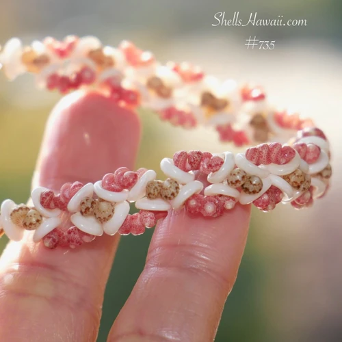 pd_735
One-of-a-kind Hawaiian shell necklace handcrafted with genuine white Puka shells and genuine Kahelelani shells from Niʻihau, photographed outdoors to showcase its natural beauty.
