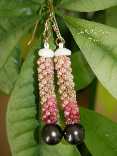 Ni'ihau Shell Earrings – Handcrafted Hawaiian Earrings with