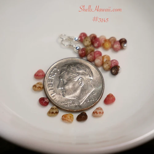 nier_3145
Close-up of genuine Niʻihau and Kauaʻi Kahelelani shell earrings in pink, green, brown, yellow Kāmoa, Keʻokeʻo and red burgundy, shown beside a dime for size comparison.