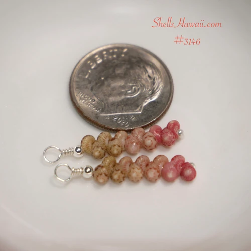 Tiny genuine Niʻihau Kahelelani shell earrings in pink, green and Keʻokeʻo colors shown beside a dime for size comparison.