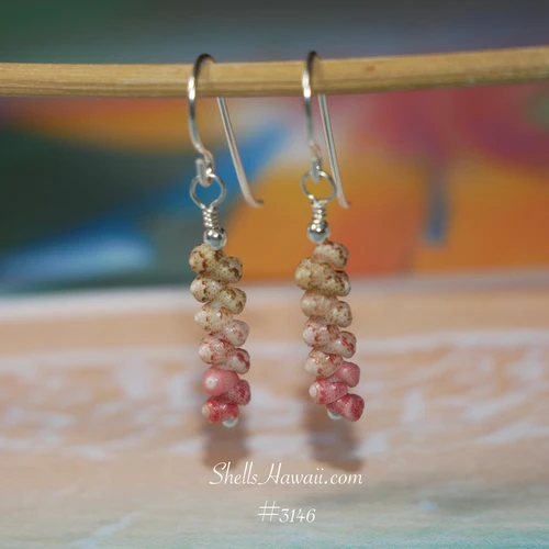 nier_3146
Handmade Niʻihau Kahelelani shell earrings with sterling silver hooks hanging naturally to show the delicate minimalist drop design and how the earrings look when worn.