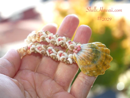 Hand-held Niʻihau shell necklace showing off-white Puka shells, soft pink and green Kahelelani and yellow green gray pink Sunrise shell