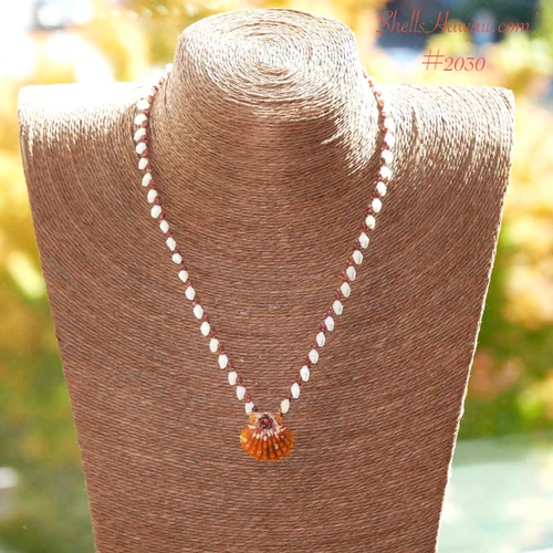 Full 18 3/4 inch Hawaiian shell necklace display with Niihau Momi, Kauai Kahelelani and orange Oahu sunrise shell #2030