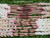 ninl_22123
Close-up display of museum-quality Niʻihau Kipona style shell lei featuring colorful Kahelelani shells handcrafted in Manua Loa pattern with high-grade Momi shells prepared in Coconut style to resemble the male coconut flower using traditional Pikake technique.