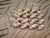 Authentic Niʻihau and Kauaʻi shells: majority Momi from Niʻihau for structure, with Kahelelani accents for color contrast — the beautiful pairing defines this beloved spiral design.