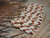 2″ Kipona spiral Niʻihau shell earrings handcrafted with off-white Momi shells from Niʻihau and brown/burgundy Kahelelani shells from Kauaʻi. Elegant two-strand braided design.