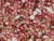 Close-up view of mixed-color size 10 Kahelelani shells featuring pink, burgundy, brown, cream, and natural tones. Tiny colorful Hawaiian shells perfect for collectors, shell lovers, and delicate jewelry designs.