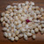 Option 2 (Mixed-size Momi shells):
100 mixed-size Momi shells from Niʻihau, off-white tones, un-poked—great for shell jewelry making Option 2 (Mixed-size Momi shells):
100 mixed-size Momi shells from Niʻihau, off-white tones, un-poked—great for shell jewelry making