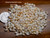 Option 1 (Niʻihau shell supply):
220 loose Ni‘ihau shell supply of Momi shells, mixed sizes, un-poked with natural luster—ideal for shell jewelry crafting