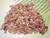 Large assortment of authentic Kahelelani shells from Niʻihau featuring natural pink, white, burgundy, yellow, and spotted colors. Small shell supply perfect for collectors, shell artists, Poepoe and Kipona jewelry designs, minimalist shell earrings, and traditional Hawaiian jewelry making.