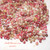 500 pcs mix color Kahelelani shells supply size 10 #3084