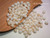 100 pcs pre-poked Pupu Niihau Momi shells supply for making Niihau shell jewelry #2400