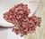 Handmade supply lot of 100 Kahelelani shells from Niʻihau—colorful mix, un-poked, ideal for artists and shell crafts with fine tools.