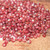 500 pcs red burgundy ‘ula‘ula Kahelelani shells supply from Niihau size 11 #2438