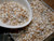 Close up color comparison in white bowl showing mixed Momi and Laiki shell supply with blue ʻŪliʻuli, off white Keʻokeʻo, and brown spotted ʻŌnikiniki colors, glossy natural luster, and assorted smaller B–C grade shells