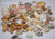 Assorted Hawaiian marine shells from multiple islands showing mixed sizes and textures
