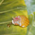 Sunrise shell pendant #149