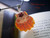Sunrise shell pendant #207