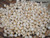 Momi shells supply