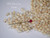 310 Momi shells from Niihau, pre-poked loose mix in B+ grade, with step-by-step Heliconia earring assembly instructions for jewelry DIY