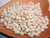 Hawaiian jewelry kit with 100 genuine Niihau Momi shells off-white, coconut style pre-poked, plus thread, Puka shells and 14K gold hooks