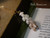 Handmade shell necklace — 18″ Pikake-style pendant featuring brown spotted, blue, and white Momi shells, strung with aloha