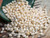 450 pcs Niihau shell supply/ Momi shells+ instruction #2622