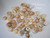 50 pcs Hawaiian Puka shells supply #2630
