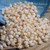 300 pcs of Momi Shells – Off-White Mix, Medium to Large Size (Includes How to Create Pikake Style Shell Earrings Instructions) #2370