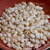 300 pcs of Yellow Momi Shells – Medium to Large Size with Black Waha, High Luster (Includes How to Create Pikake Style Shell Earrings Instructions) #2369