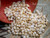 300 pcs of Yellow Momi Shells – Medium to Large Size with Black Waha, High Luster (Includes How to Create Pikake Style Shell Earrings Instructions) #2369