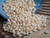 400 pcs of Momi Shells – 4mm Medium Size, Off-White with Light Yellow Hue (Includes How to Create Crown Flower Style Shell Earrings Instructions) #2373