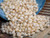 400 pcs of Momi Shells – 4mm Medium Size, Off-White with Light Yellow Hue (Includes How to Create Crown Flower Style Shell Earrings Instructions) #2373