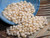 400 pcs of Momi Shells – 4mm Medium Size, Off-White with Light Yellow Hue (Includes How to Create Crown Flower Style Shell Earrings Instructions) #2373