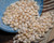 400 pcs of Momi Shells – 4mm Medium Size, Off-White with Light Yellow Hue (Includes How to Create Crown Flower Style Shell Earrings Instructions) #2373