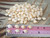 100 pcs of Momi Shells (Medium to Large Size, Un-Poked) – Off-White with Yellow Hues – #2374