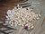 100 pcs Authentic Large Momi Shells from Niʻihau – Off-White Good Luster Loose Shell Supply #3107