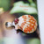 Authentic Niʻihau shell jewelry pendant featuring sunrise shell from Hawaii and Kahelelani flower accent