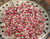 Close-up of genuine Kahelelani shell supply from Niʻihau showing natural mixed colors including burgundy, pink, cream, brown, and spotted tones with beautiful natural luster. These size 11 shells are commonly used for Poepoe, Manuʻa Loa, Kipona, Heliconia, shell lei, and delicate minimalist jewelry designs.