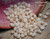 #4002
Beginner white Momi shells from Niʻihau for making Pikake style Niʻihau shell jewelry