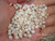Mixed Momi shells from Niihau in film canister, Hawaiian shell jewelry making materials for Pikake and Crown Flower designs