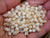 #4303
Niihau Momi shell supply for jewelry making, mixed size off white shells with blue tint from Hawaii, ニイハウシェル 貝殻ジュエリー