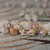 nibl_393
 Niihau shell bracelet extreme close up showing detailed momi shells with spotted onikini and smooth keokeo shells