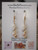 nier_3005
lightweight Niʻihau shell earrings dainty momi shell drop earrings island style Hawaiian jewelry mixed shell colors