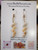 lightweight Niʻihau momi shell earrings minimalist drop style Hawaiian island jewelry soft natural color tones
